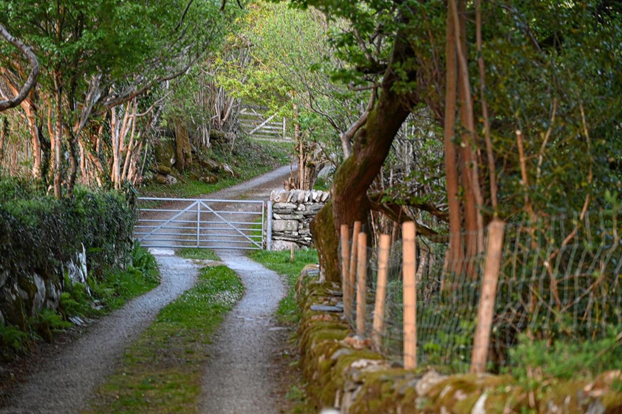 Ty Gwennol Near Gilfach Goch Lägenhet Llanbedr  Exteriör bild