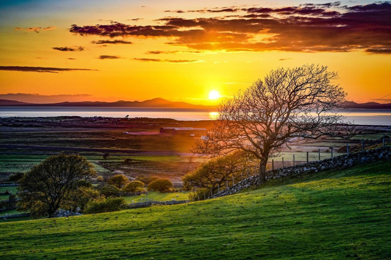 Ty Gwennol Near Gilfach Goch Lägenhet Llanbedr  Exteriör bild